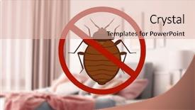  Presentation with clean - Presentation having pest control - stop bug sign and clean background and a lemonade colored foreground