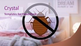  Presentation with clean - PPT theme featuring pest control - stop bug sign and clean background and a lemonade colored foreground
