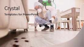  Presentation with poison control - Amazing slide deck having pest control contractor working backdrop and a lemonade colored foreground