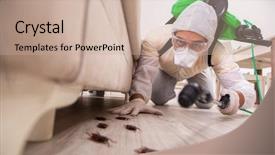  Presentation with pest control - Presentation consisting of pest control contractor working background and a coral colored foreground