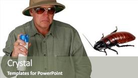 Presentation with pest - Presentation theme enhanced with pest control insect - man in a pith helmet background and a gray colored foreground