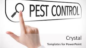  Presentation with pest - Slide set featuring pest control written in search background and a white colored foreground