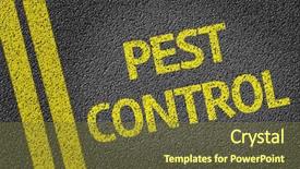  Presentation with pest - Presentation design enhanced with pest control written background and a tawny brown colored foreground
