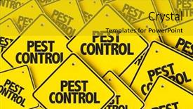  Presentation with pest control - Colorful PPT layouts enhanced with pest control backdrop and a gold colored foreground