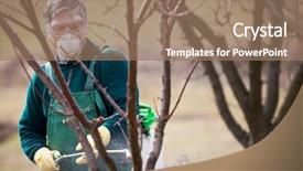  Presentation with pesticide - Colorful PPT theme enhanced with pesticide application - using chemicals in the garden backdrop and a coral colored foreground