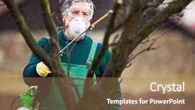  Presentation with pesticide - PPT layouts having pesticide application - using chemicals in the garden background and a coral colored foreground