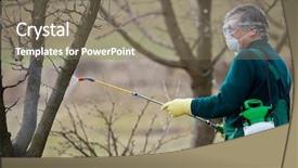  Presentation with pesticide - Amazing presentation theme having pesticide application - using chemicals in the garden backdrop and a gray colored foreground