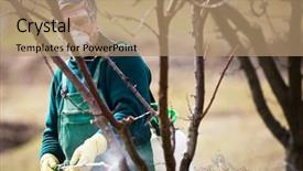  Presentation with pesticide - Colorful presentation enhanced with pesticide application - using chemicals in the garden backdrop and a coral colored foreground