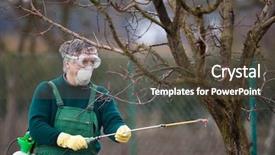  Presentation with fertilizer - Amazing presentation having pesticide application - using chemicals in the garden backdrop and a tawny brown colored foreground