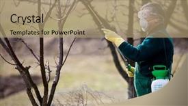  Presentation with pesticide - Amazing presentation theme having pesticide application - using chemicals in the garden backdrop and a coral colored foreground