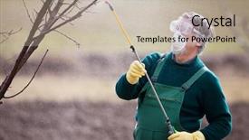  Presentation with pesticide - Slide deck having view from the arch of the medieval town background and a dark gray colored foreground