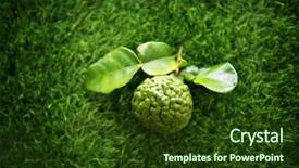  Presentation with pesticide - Cool new slides with pesticide free fresh organic kaffir backdrop and a tawny brown colored foreground