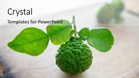  Presentation with pesticide - Theme enhanced with pesticide free fresh organic kaffir background and a white colored foreground