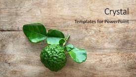  Presentation with pesticide - Beautiful slides featuring pesticide free fresh organic kaffir backdrop and a lemonade colored foreground