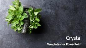  Presentation with mortar - PPT theme consisting of pestle - fresh mint leaves in mortar background and a dark gray colored foreground