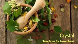  Presentation with mortar - Amazing slides having pestle - herbs berries and flowers backdrop and a tawny brown colored foreground