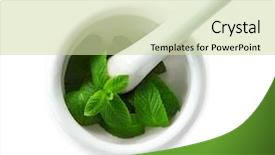  Presentation with mortar - PPT theme consisting of pestle - mortar with leaves of lemon background and a soft green colored foreground