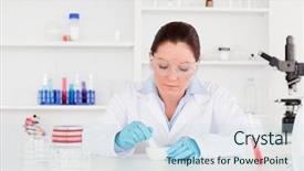  Presentation with biological disaster healthcare scientist - Colorful PPT layouts enhanced with pestle analysis - young scientist preparing an experimentation backdrop and a sky blue colored foreground