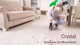  Presentation with pest control - PPT layouts having pests - pest control contractor working background and a  colored foreground