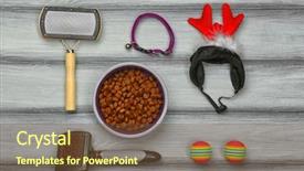  Presentation with pet plant industrial - Audience pleasing presentation theme consisting of pet accessories on wooden background backdrop and a  colored foreground