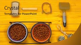  Presentation with pet - Presentation with pet accessories on wooden background background and a gold colored foreground