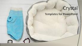  Presentation with pet rats - PPT layouts featuring pet accessories on wooden background background and a soft green colored foreground