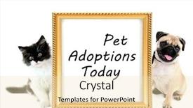  Presentation with adoption - Colorful theme enhanced with pet adoption concept funny pug backdrop and a lemonade colored foreground