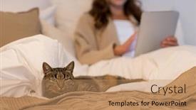  Presentation with domestic animal - Cool new slide set with pet and domestic animal concept - cat lying in bed with woman using tablet pc computer at home bedroom backdrop and a coral colored foreground