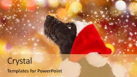  Presentation with dog christmas - Audience pleasing PPT layouts consisting of black dog in santa outfit backdrop and a yellow colored foreground