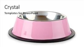  Presentation with pet - PPT theme having pet bowl isolated background and a white colored foreground