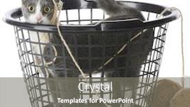  Presentation with yarn - Cool new presentation theme with pet cat caught in a plastic laundry basket dragging yarn behind him isolated on white backdrop and a gray colored foreground