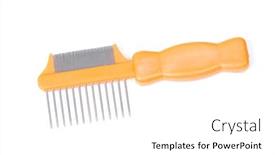  Presentation with pet - Audience pleasing presentation theme consisting of pet-comb-isolated-on-white backdrop and a white colored foreground