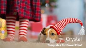  Presentation with russell - Amazing slide deck having pet dog jack russell terrier and legs of a little girl in red white striped socks celebrating christmas at home by the new year tree backdrop and a coral colored foreground