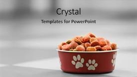  Presentation with pet food - Colorful PPT layouts enhanced with pet food in a metal backdrop and a light gray colored foreground