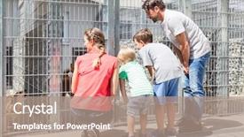  Presentation with animal shelter - PPT theme having pet from animal shelter background and a coral colored foreground