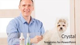  Presentation with grooming dog - Colorful presentation design enhanced with pet groomer - smiling man grooming a dog backdrop and a lemonade colored foreground