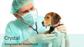  Presentation with beagle dog - Cool new presentation with pet health - veterinarian surgeon doctor making backdrop and a arctic colored foreground