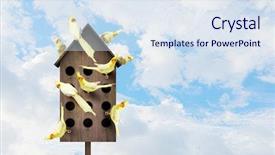  Presentation with apartments - Cool new presentation theme with pet hotel - apartments for friendly living mixed backdrop and a sky blue colored foreground