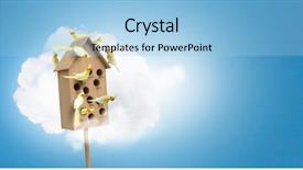  Presentation with apartments - Theme enhanced with pet hotel - apartments for friendly living mixed background and a  colored foreground