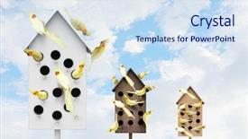  Presentation with apartments - PPT theme having pet hotel - apartments for friendly living mixed background and a sky blue colored foreground