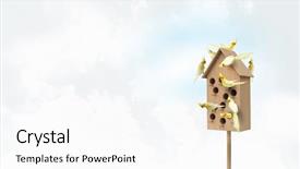  Presentation with apartments - Presentation featuring pet hotel - apartments for friendly living mixed background and a white colored foreground