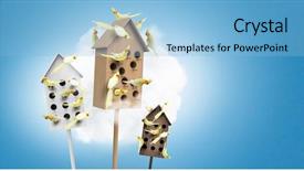  Presentation with apartments - Colorful PPT theme enhanced with pet hotel - apartments for friendly living mixed backdrop and a light blue colored foreground