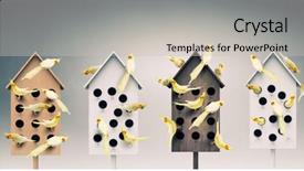  Presentation with apartments - PPT theme enhanced with pet hotel - apartments for friendly living mixed background and a  colored foreground