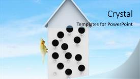  Presentation with apartments - PPT layouts consisting of pet hotel - apartments for friendly living mixed background and a  colored foreground