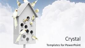  Presentation with apartments - PPT layouts having pet hotel - apartments for friendly living mixed background and a  colored foreground