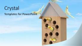  Presentation with apartments - Beautiful slide deck featuring pet hotel - apartments for friendly living mixed backdrop and a  colored foreground