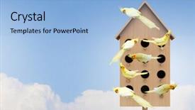  Presentation with apartments - Colorful theme enhanced with pet hotel - apartments for friendly living mixed backdrop and a  colored foreground