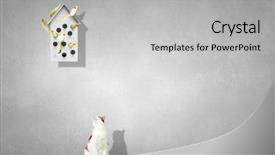  Presentation with apartments - Presentation theme featuring pet hotel - apartments for friendly living background and a light gray colored foreground