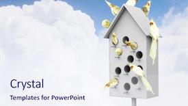  Presentation with apartments - PPT theme consisting of pet hotel - apartments for friendly living background and a sky blue colored foreground