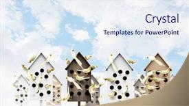  Presentation with apartments - Presentation enhanced with pet hotel - apartments for friendly living background and a  colored foreground